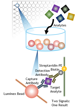 Luminex® Platform – Houston Omics Collaborative