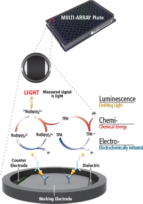 Meso Scale Discovery Platform – Houston Omics Collaborative